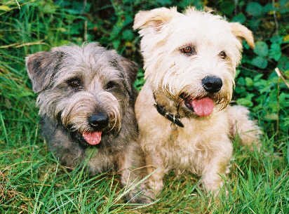 Breege and Rory