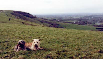 View of the Sussex countryside