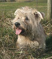 Head shot of Rory